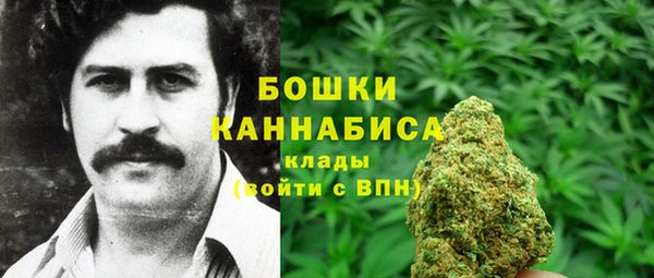 mdma Новодвинск