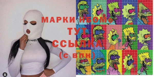 тгк Няндома
