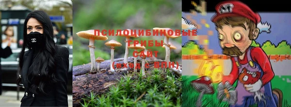 мяу мяу мука Нягань
